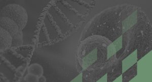 Optimizing Plasmid Manufacturing for Cell and Gene Therapy